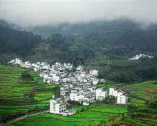 包含皖南金雕队对阵胶东雷霆队,网球总决赛击败,细节决定成败——韧性与执行并存的词条 包含皖南金雕队对阵胶东雷霆队,网球总决赛击败,细节决定成败——韧性与执行并存的词条